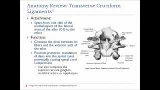 Cervical Ligamentous Testing Alar and Transverse Ligaments [upl. by Hamford]