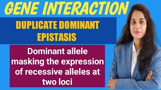 Duplicate dominant gene interaction Duplicate dominant epistasis [upl. by Aznaed]