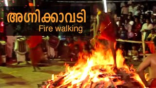 Agnikavadi  Devotees walk over the fire  അഗ്‌നിക്കാവടി [upl. by Akiv]