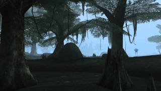 Morrowind Bitter Coast Ambience [upl. by Abbott]