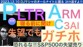 PLTRパランティア 失望してもガチホしろ‼︎DJマシャ【全力次のテスラ】SampP500はそのうち採用されるだろう ARMC3AIも語るよん🎵 [upl. by Bouton]