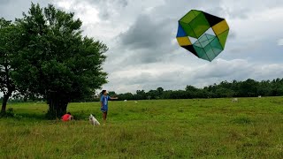 Strong wind destroyed my box kite [upl. by Edwine]