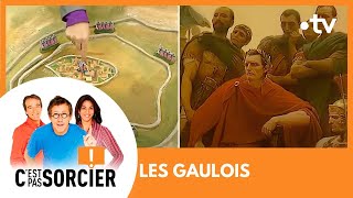 LES GAULOIS  Cest pas sorcier Intégrale [upl. by Tound686]