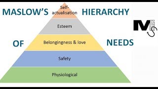 The use of Maslows Hierarchy of Needs in Business  Simplest explanation [upl. by Atekan]