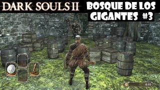 Dark Souls 2 guia BOSQUE DE LOS GIGANTES CAÍDOS 3  Conseguimos la Saponita señal blanca  Ep6 [upl. by Meir]