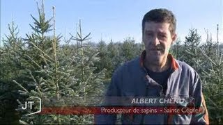 Portrait dAlbert Chenu producteur de sapins Sainte Cécile [upl. by Atsahs]