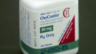 NY adds Sackler family to OxyContin lawsuit [upl. by Edmon]