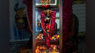 🚩shani dev status  shani maharaj status  shanidev 🙇🏻‍♂️ whatsapp statusshortsshanidevlike [upl. by Nylad]