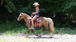 FLASHY PALOMINO QUARTER PONY GELDING RIDES NICELY WORKS CATTLE FUN [upl. by Niatirb]