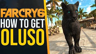 How to get the BEST AMIGO Oluso in Far Cry 6 [upl. by Lyrej671]