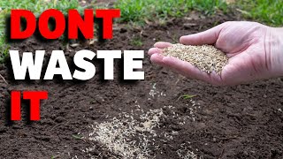 10 STUPID mistakes to AVOID overseeding your lawn [upl. by Maire352]