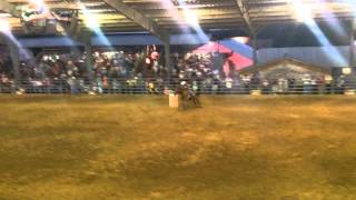 Barrel Racing at Tejas Rodeo [upl. by Atsirtal]