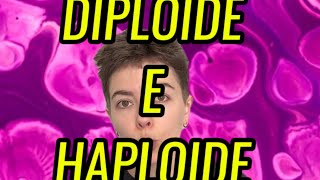 Qual a diferença entre célula diploide e haploide [upl. by Bobseine]