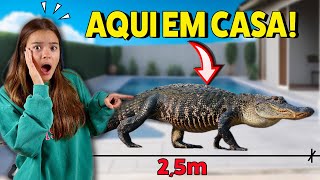 HOJE APARECEU UM JACARE DE 25m AQUI EM CASA🐊 [upl. by Seys]