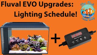 Fluval EVO 135g52l Upgrades  Lighting Schedule [upl. by Bergerac]