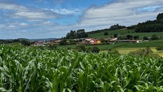 Camino del Norte y Camino Primitivo Day 34 Ferreira to Arzua Primitivo Day 11 [upl. by Oynotna79]