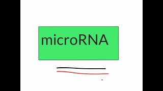 CORSO DI INGEGNERIA GENETICA  micro RNA  RNA interference  LEZIONE 6 [upl. by Enrika]