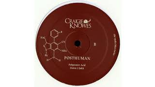 Posthuman  Polywater Acid Craigie Knowes [upl. by Darby]