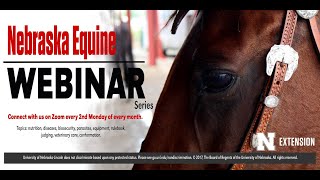 Equine Genetic Diseases [upl. by Dinin647]