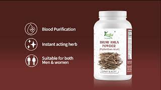 Amazing Benifits of Bhumi Amla  yuvikaherbs [upl. by Ecertak]