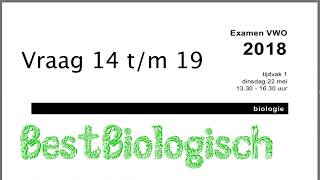 Biologie examen VWO 2018 1e tijdvak vraag 14 tm 19 [upl. by Ong527]