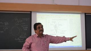 Stratigraphy and Tectonics of Dharwar and South India Part  68 by Prof T K Biswal IIT BOMBAY [upl. by Erleena]