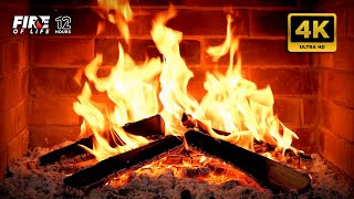 🔥 FIREPLACE Ultra HD 4K Fireplace with Crackling Fire Sounds Fireplace Burning Fire Background [upl. by Ferrell]