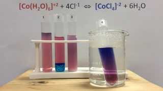 Le Chateliers Principle Lab with Cobalt Complex Ions [upl. by Ateinotna]