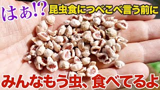 昆虫食賛成派も反対派も……実はみんなもう虫食べてるよ [upl. by Alsworth]