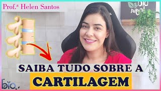 TECIDO CARTILAGINOSO  HISTOLOGIA  Descubra o Condroblasto Condrócito e Pericôndrio [upl. by Adnac99]