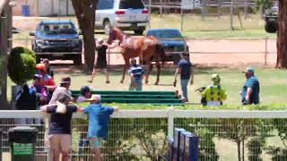 Charleville 20241026 Race 1 [upl. by Lianna]