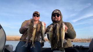 Wolf River Walleye Fishing 2 Man Limit [upl. by Iadam]