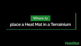 Where to place a Heat Mat and thermostat probe in a Terrainium [upl. by Nagol]