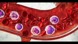 Types of Blood Cells Composition of Blood and its Functions [upl. by Ameer]