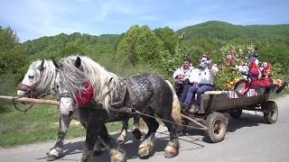 Vasi OșanuZâi Văsâcă din Negresti [upl. by Dodwell]