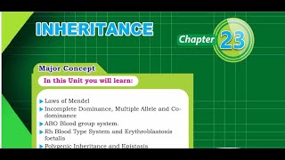 Inheritance part 4 [upl. by Esalb]