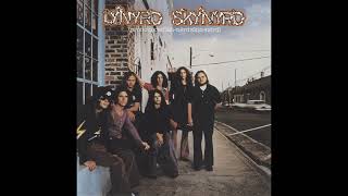 Lynyrd Skynyrd  Free Bird [upl. by Aisitel378]