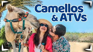 Tour Camellos y ATVS LOS CABOS 🔴 Tours en los Cabos ✅ que incluye ► Sin Postal [upl. by Chase]