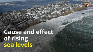 Cause and effect of rising sea levels [upl. by Colline257]