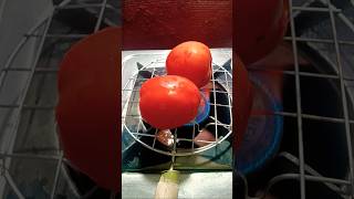 Tamatar ki chatni Bina lahsun onion ki shorts anitaguptakiduniya food recipe youtubeshorts [upl. by Lole491]