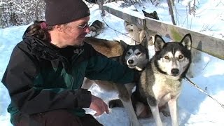 Dog Sledding SIV 110 [upl. by Ayotol]