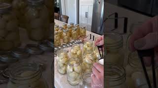 Canning potatoes today foodpreservation canning potato homesteading growyourownfood [upl. by Laroy32]