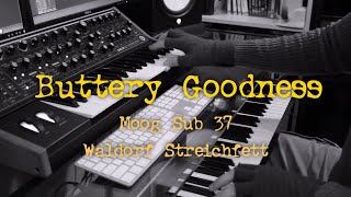 quotButtery Goodnessquot  Moog Sub 37 amp Waldorf Streichfett Demo by Mike Pensini [upl. by Olfe]