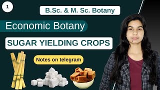 Economic Botany  SUGAR YIELDING CROPS  Botany  B Sc amp M Sc [upl. by Ecar]