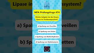 📚 MFA Prüfungsvorbereitung  Prüfungsfrage 74 [upl. by Ben]