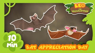 HAPPY BAT DAY 17th April  Save Our Bats  Leo the Wildlife Ranger  Kids Animation [upl. by Ajim]