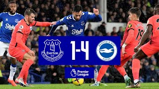 Premier League Highlights Everton 14 Brighton amp Hove Albion [upl. by Spielman]