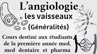 Généralités sur les vaisseaux langiologie anatomie 1ère medecine chirdent et pharma [upl. by Ajiat]