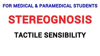 STEREOGNOSIS  TACTILE SENSIBILITY  CLINICAL LAB  PHYSIOLOGY [upl. by Ymac]