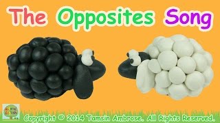 The Opposites Song  Antonyms  110 words  LEARN ENGLISH Vocabulary [upl. by Adnik]